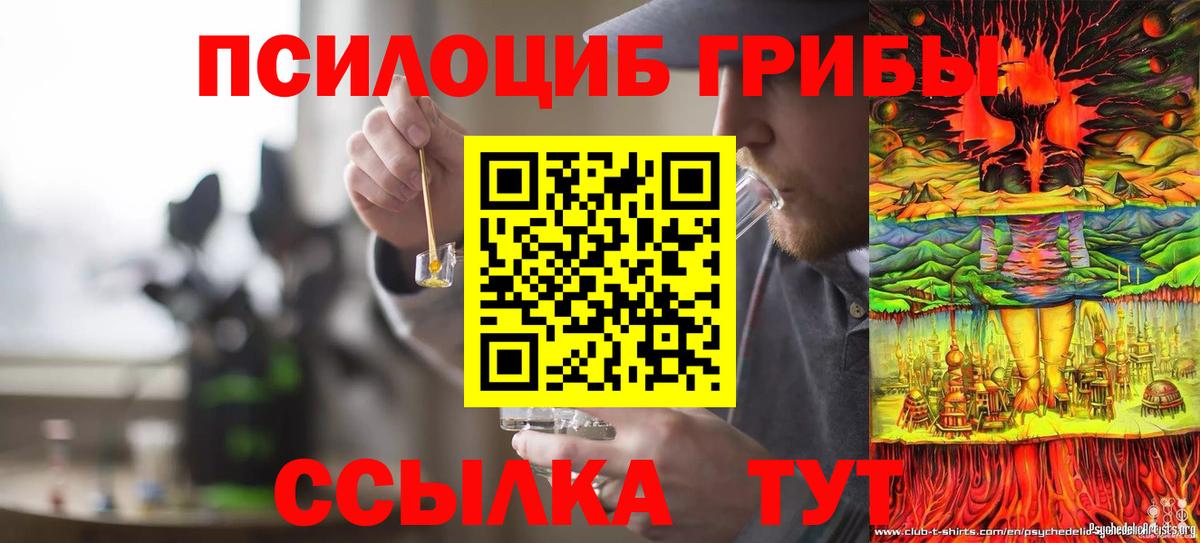 Звенигород  Псилоцибиновые грибы Psilocybine cubensis  Вход с VPN  Галлюциногенные грибы мицелий 